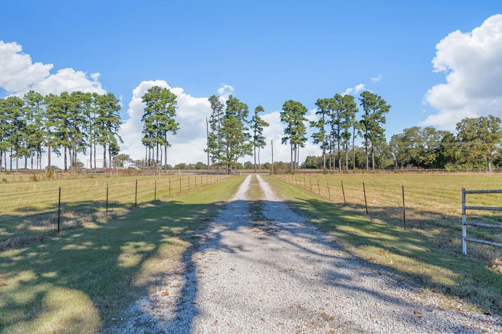 3360 Fm 1805 Van, TX 75790 - Photo 28 of 40 a view of a yard
