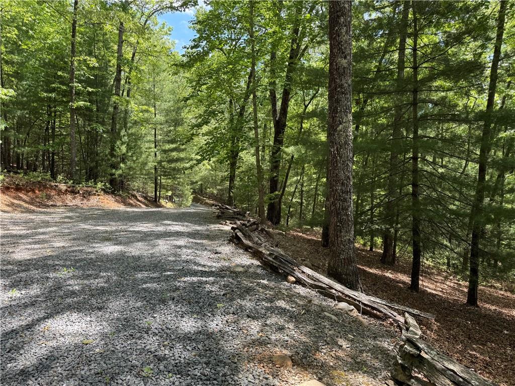 35 Big Buck Circle Blue Ridge, GA 30513 - Photo 10 of 61