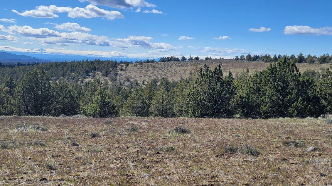 1000 Southeast Wolf Road Prineville, OR 97754 - Photo 19 of 30 image000002 (4)