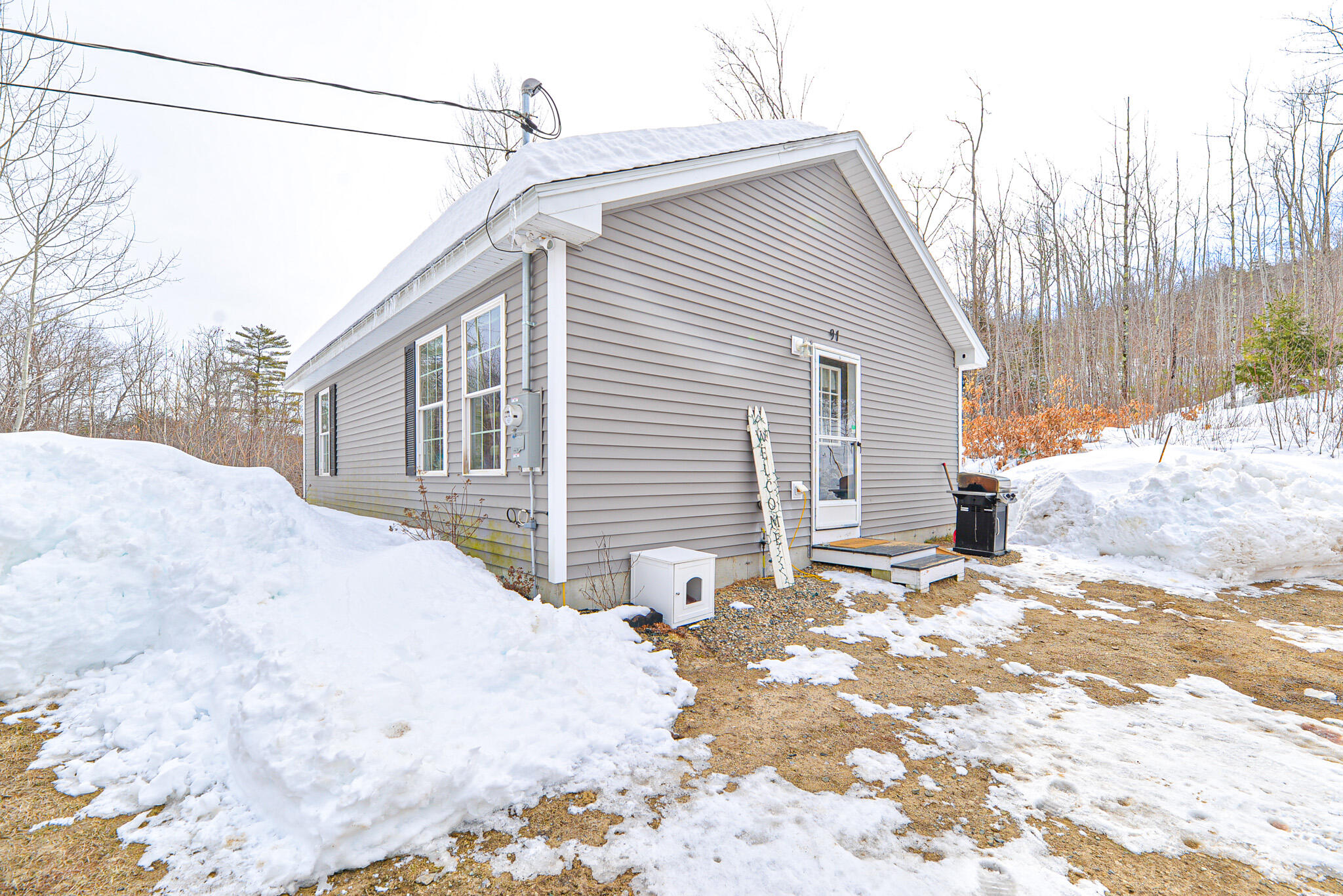 91 Bond Spring Road West Newfield, ME 04095 - Photo 1 of 33 SRS_5705