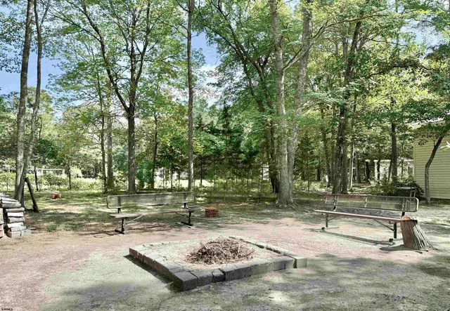 a view of a park with large trees