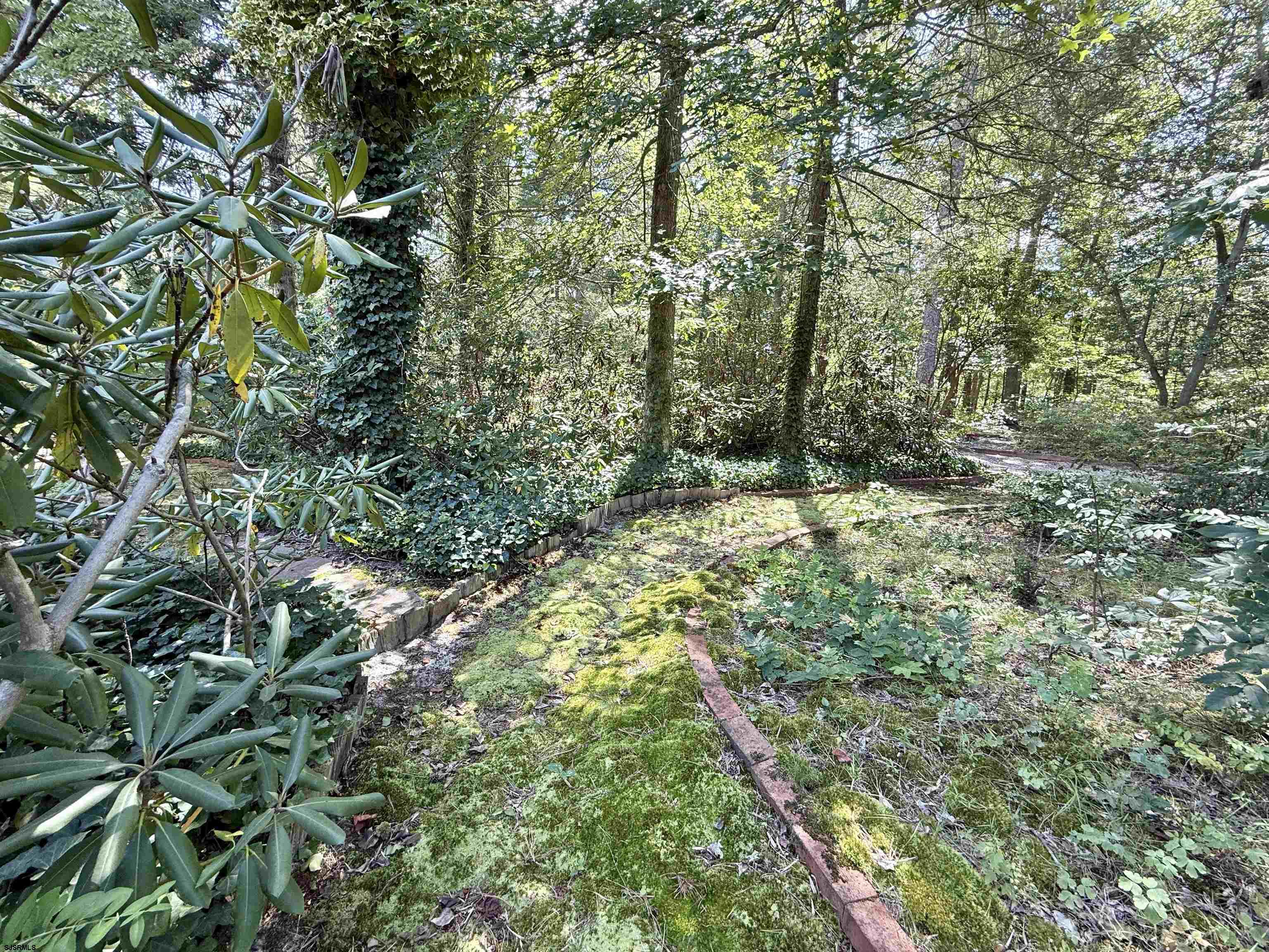 506 Hagan Road Cape May Court House, NJ 08210 - Photo 17 of 45 a big yard with lots of green space and a house