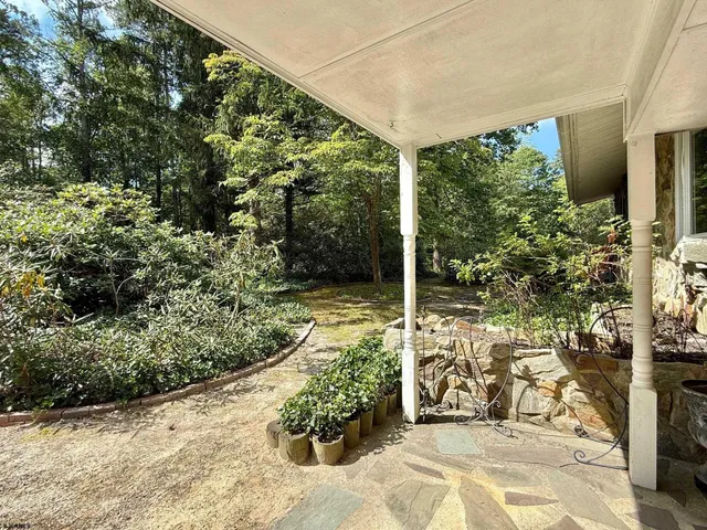 a view of a garden with plants