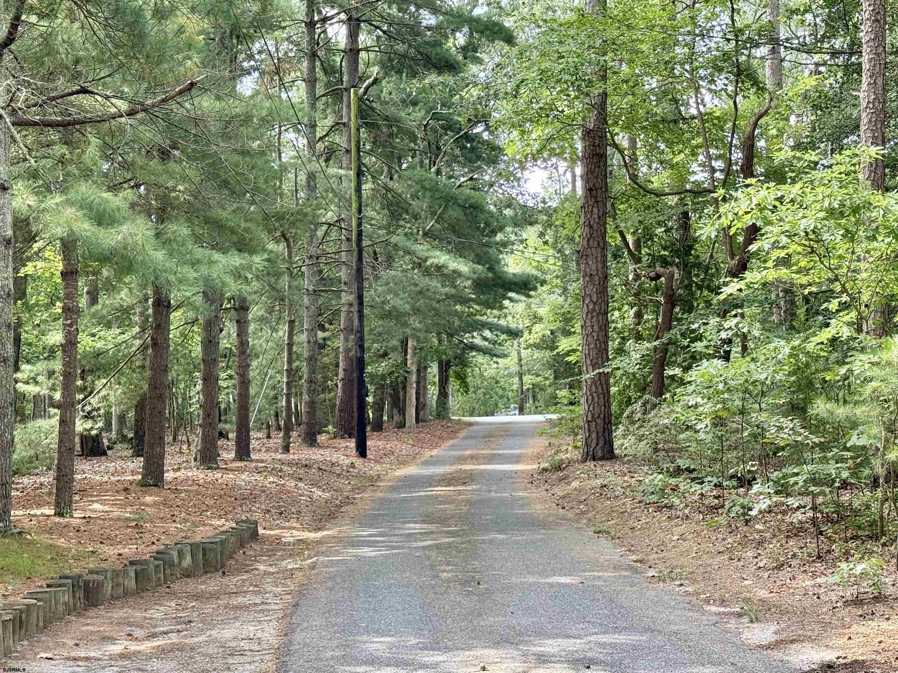 506 Hagan Road Cape May Court House, NJ 08210 - Photo 6 of 45 a view of a park with large trees
