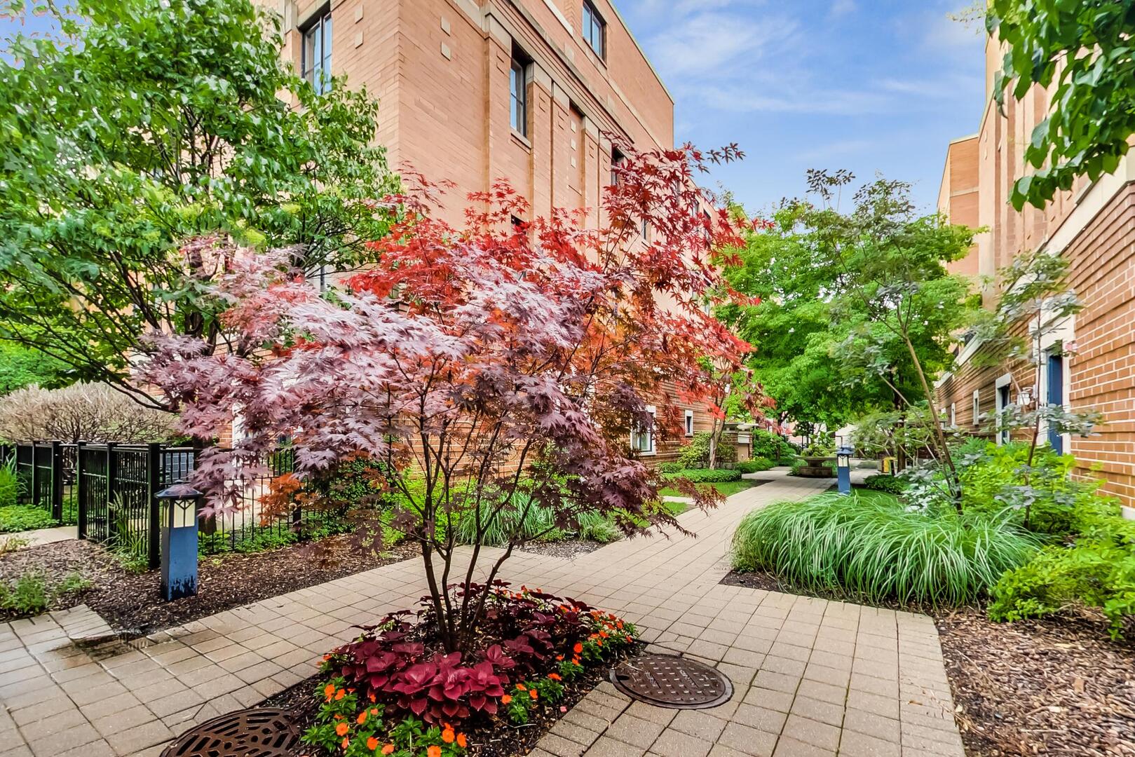 1137 West Monroe Street, Unit 9 Chicago, IL 60607 - Photo 2 of 31 a view of a garden with flowers and trees