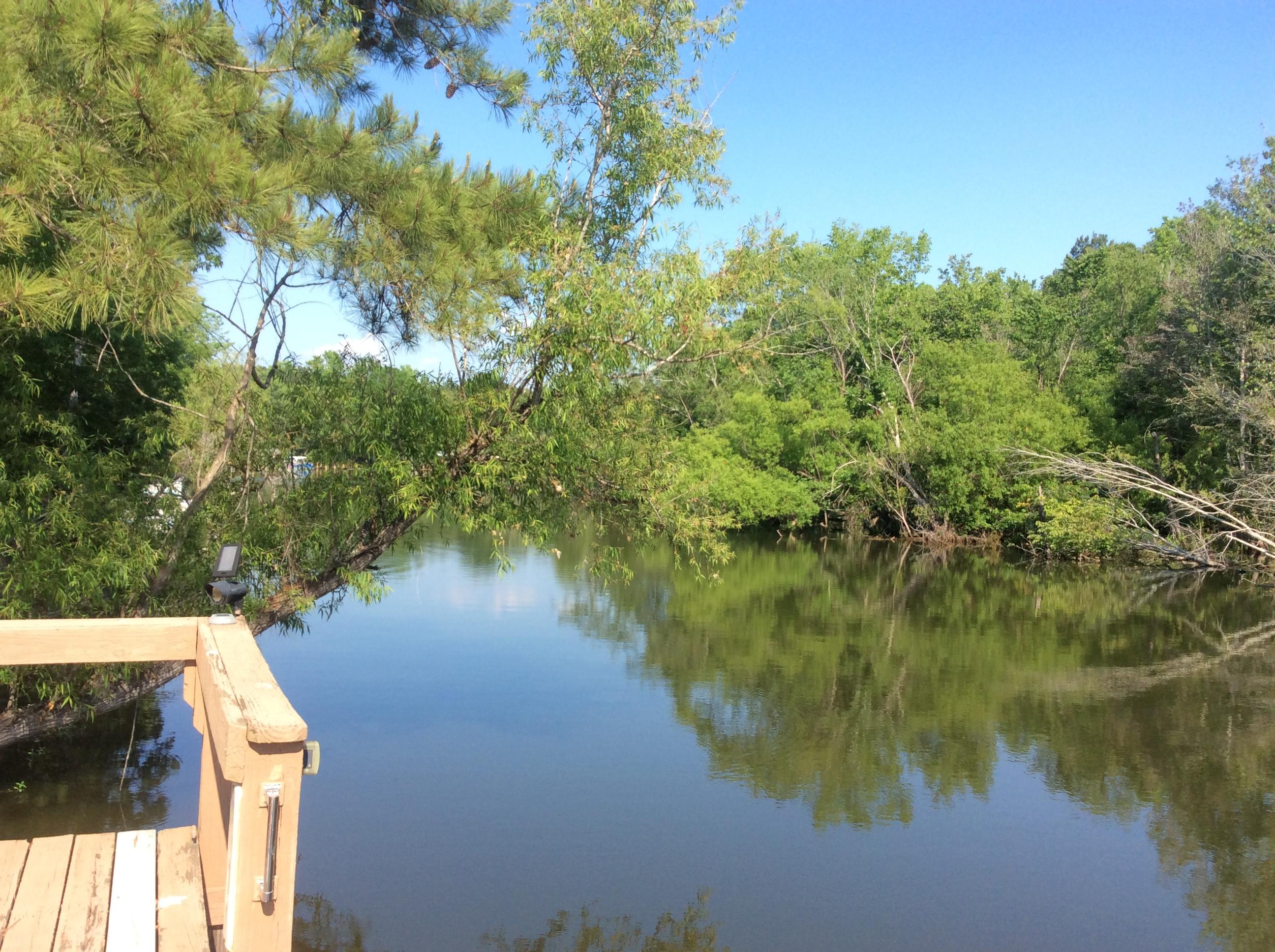 1311 Hudson Road Summerton, SC 29148 - Photo 29 of 31 2018-05-10 16.45.34