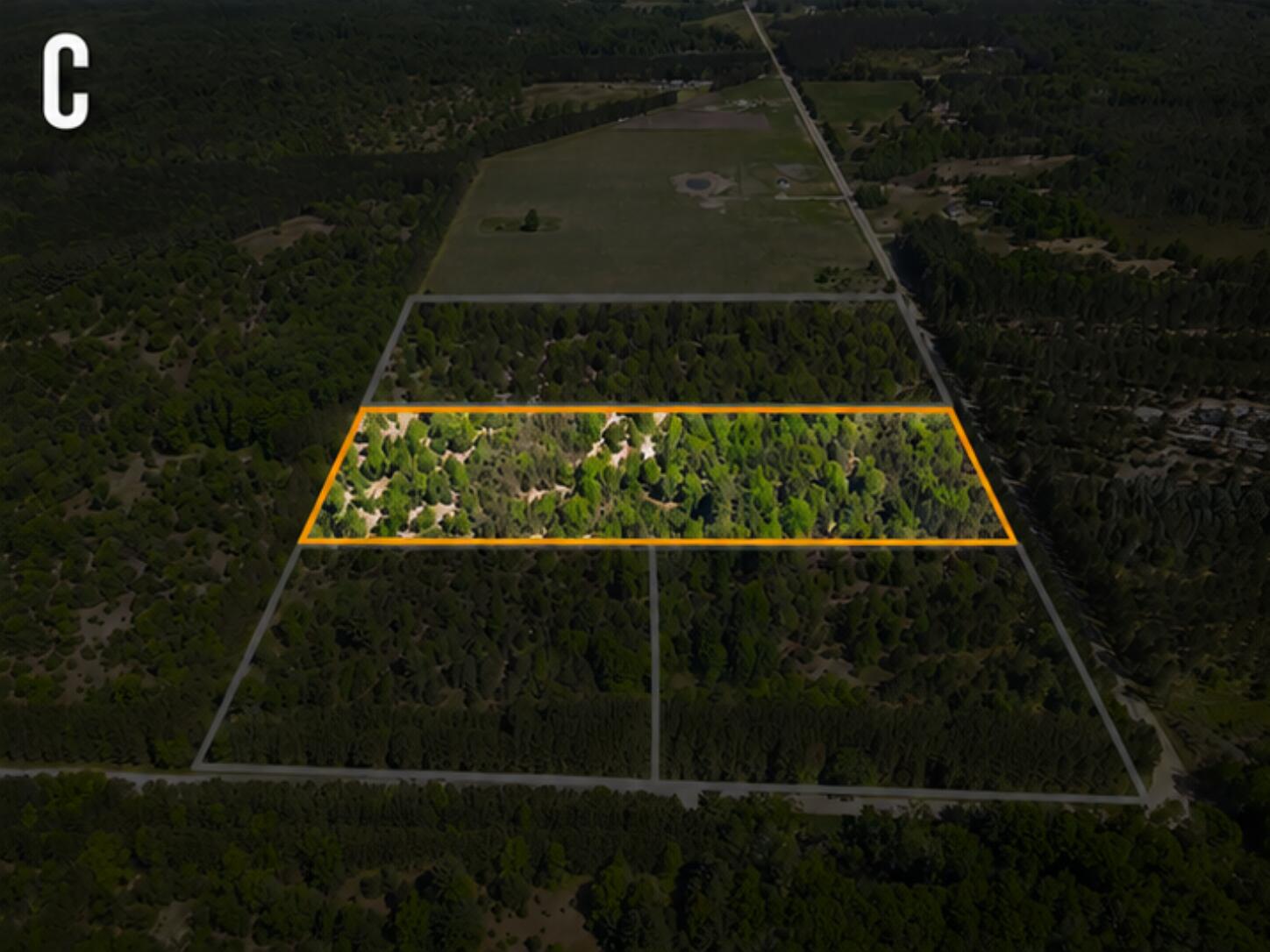 Parcel C Niemi Road Kaleva, MI 49645 - Photo 1 of 28 Untitled - June 25, 2026 at 15.21.22-3