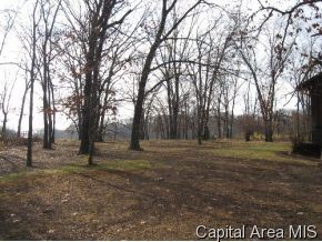 4763 Kuhlman Road Arenzville, IL 62611 - Photo 11 of 11 Gallery Image 11