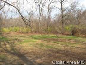 4763 Kuhlman Road Arenzville, IL 62611 - Photo 9 of 11 Gallery Image 9