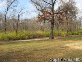 4763 Kuhlman Road Arenzville, IL 62611 - Photo 10 of 11 Gallery Image 10