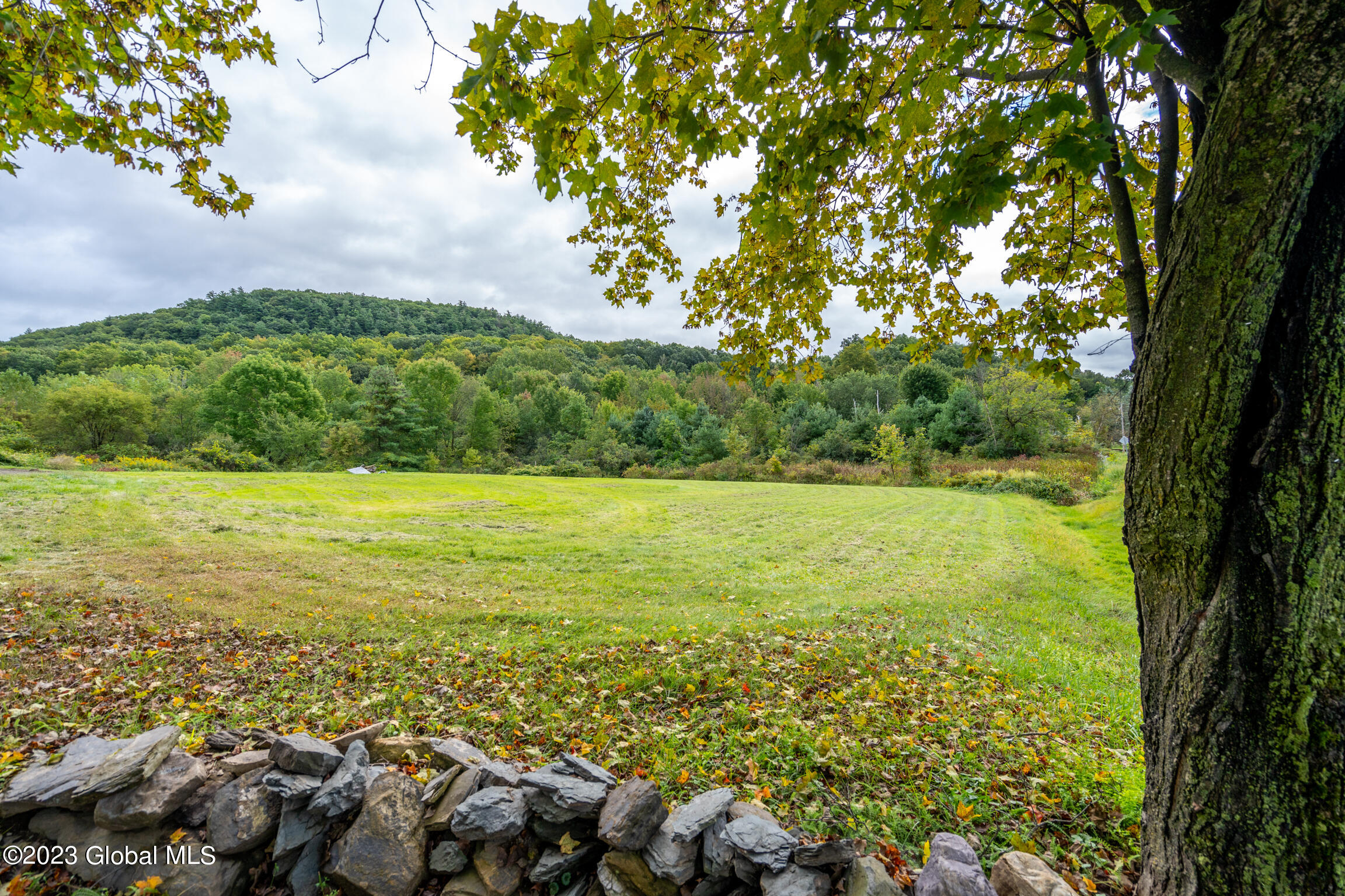 260 Cottrell Road Greenwich, NY 12834 - Photo 9 of 44 260 Cottrell MLS