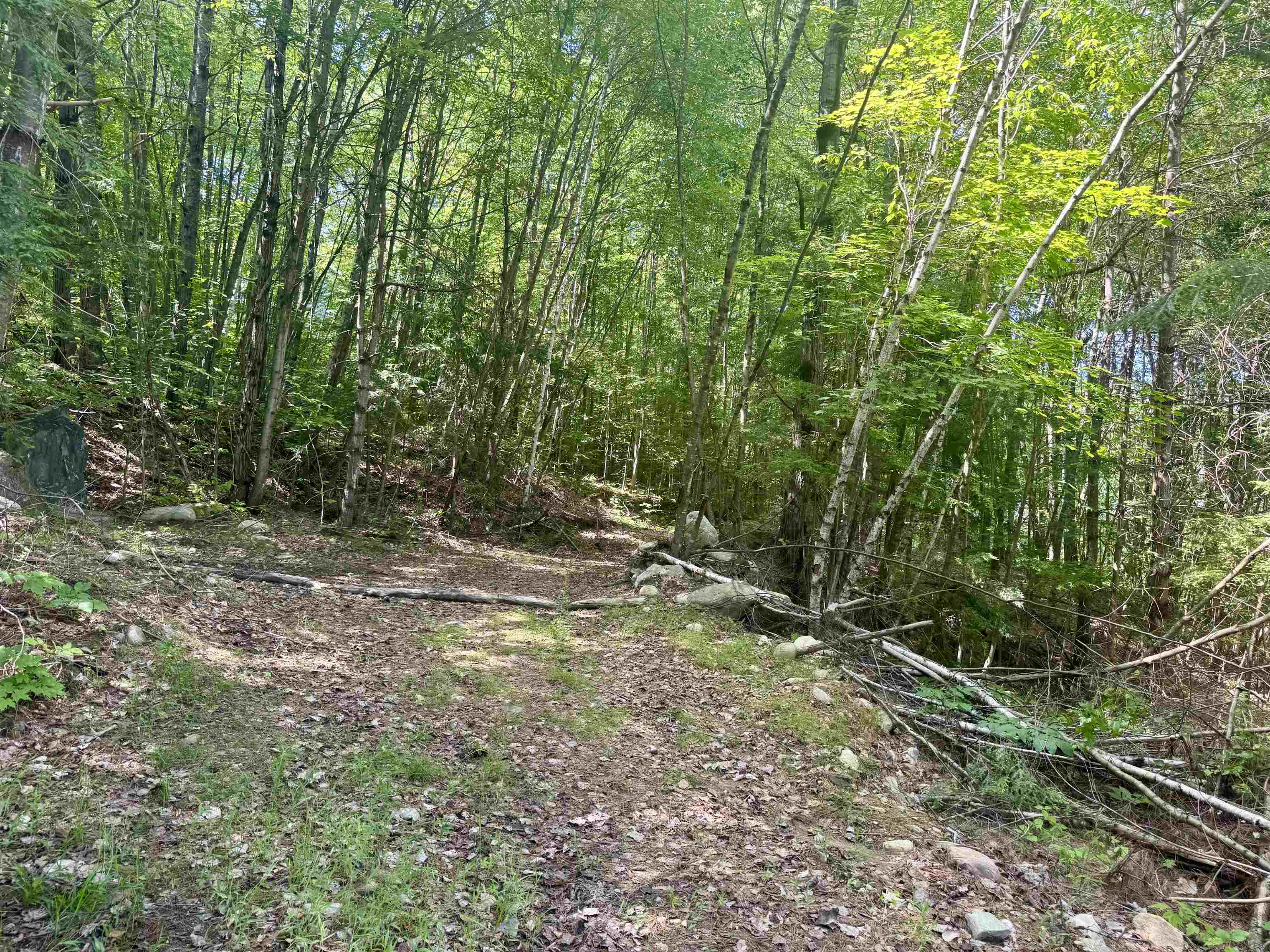 0 Remington Road, Unit 11 Chester, VT 05143 - Photo 12 of 21