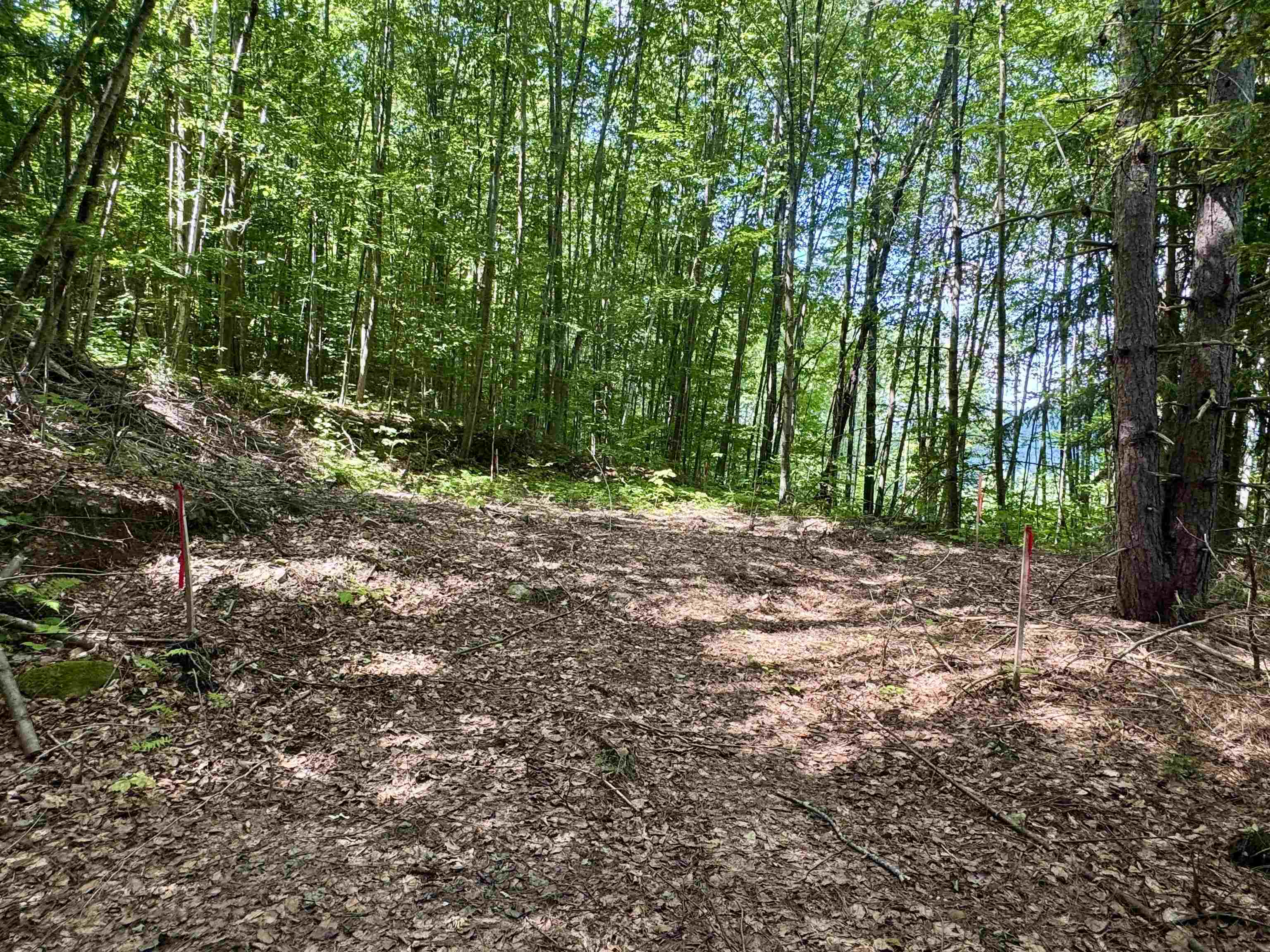 0 Remington Road, Unit 11 Chester, VT 05143 - Photo 13 of 21