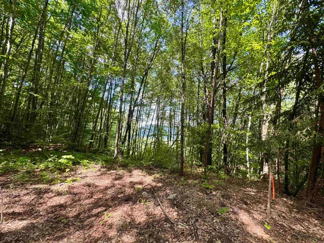 $55,000 | 0 Remington Road, Unit 11, Chester, VT 05143