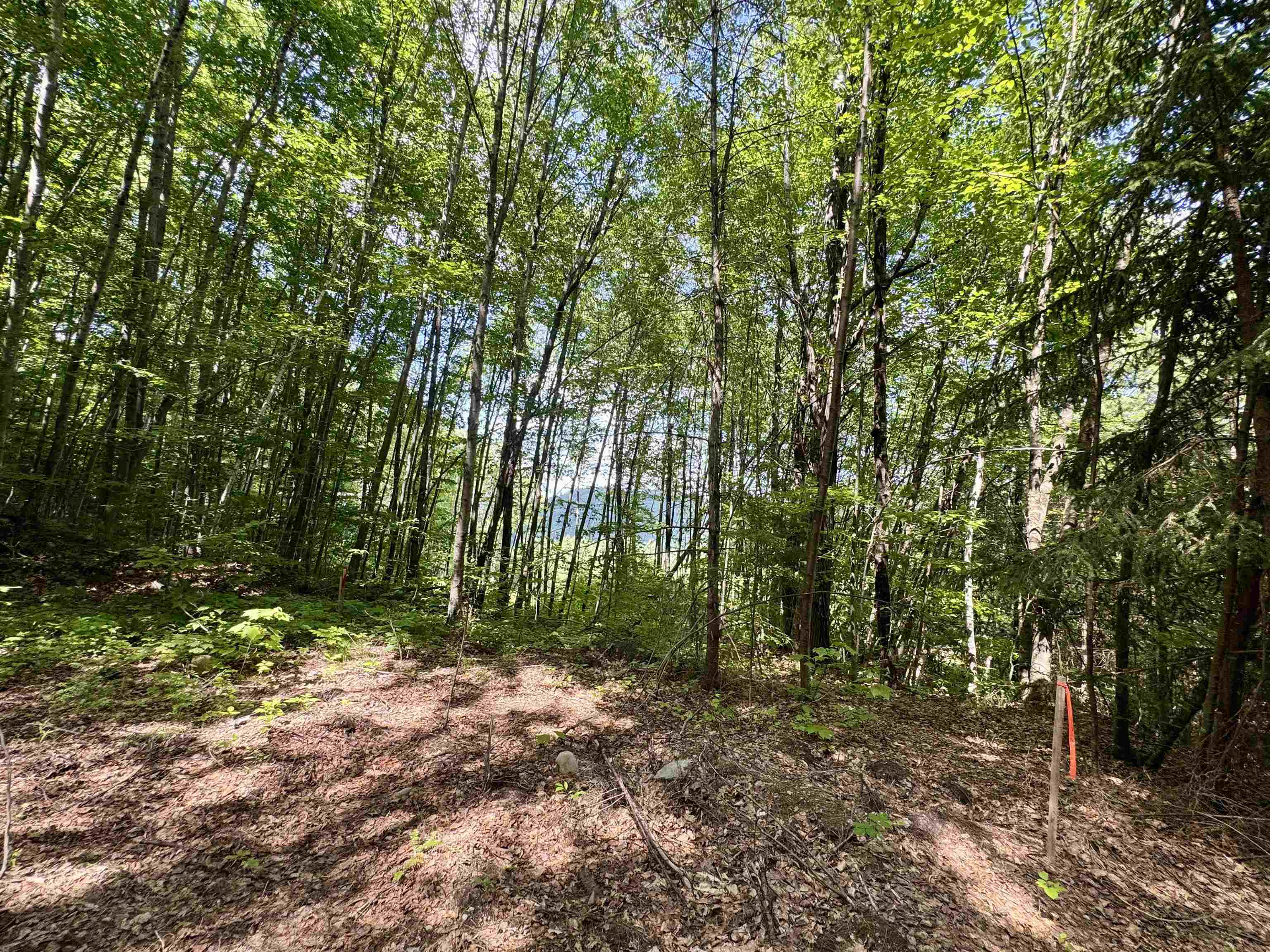 0 Remington Road, Unit 11 Chester, VT 05143 - Photo 14 of 21