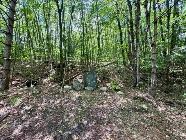 $55,000 | 0 Remington Road, Unit 11, Chester, VT 05143