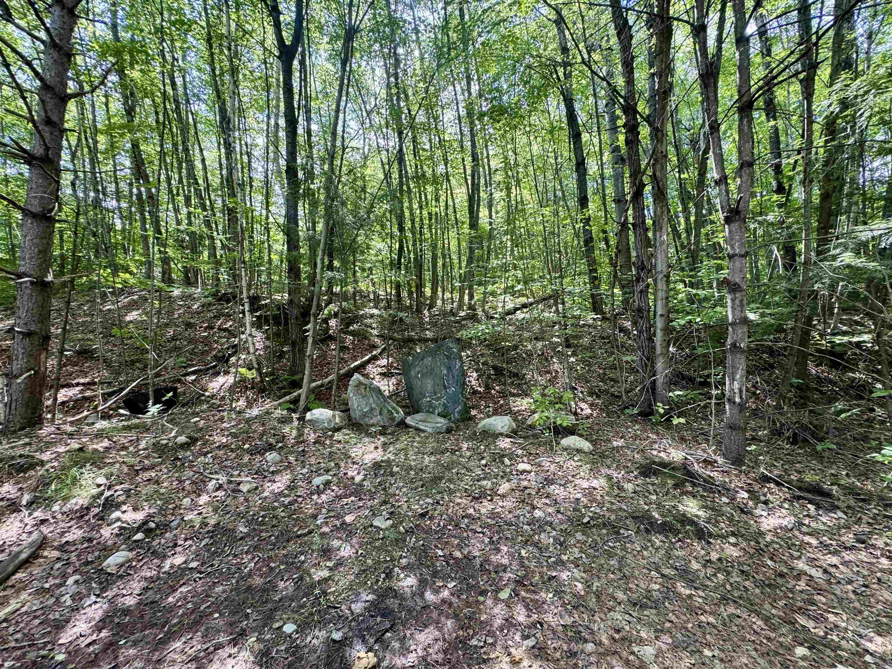 0 Remington Road, Unit 11 Chester, VT 05143 - Photo 15 of 21