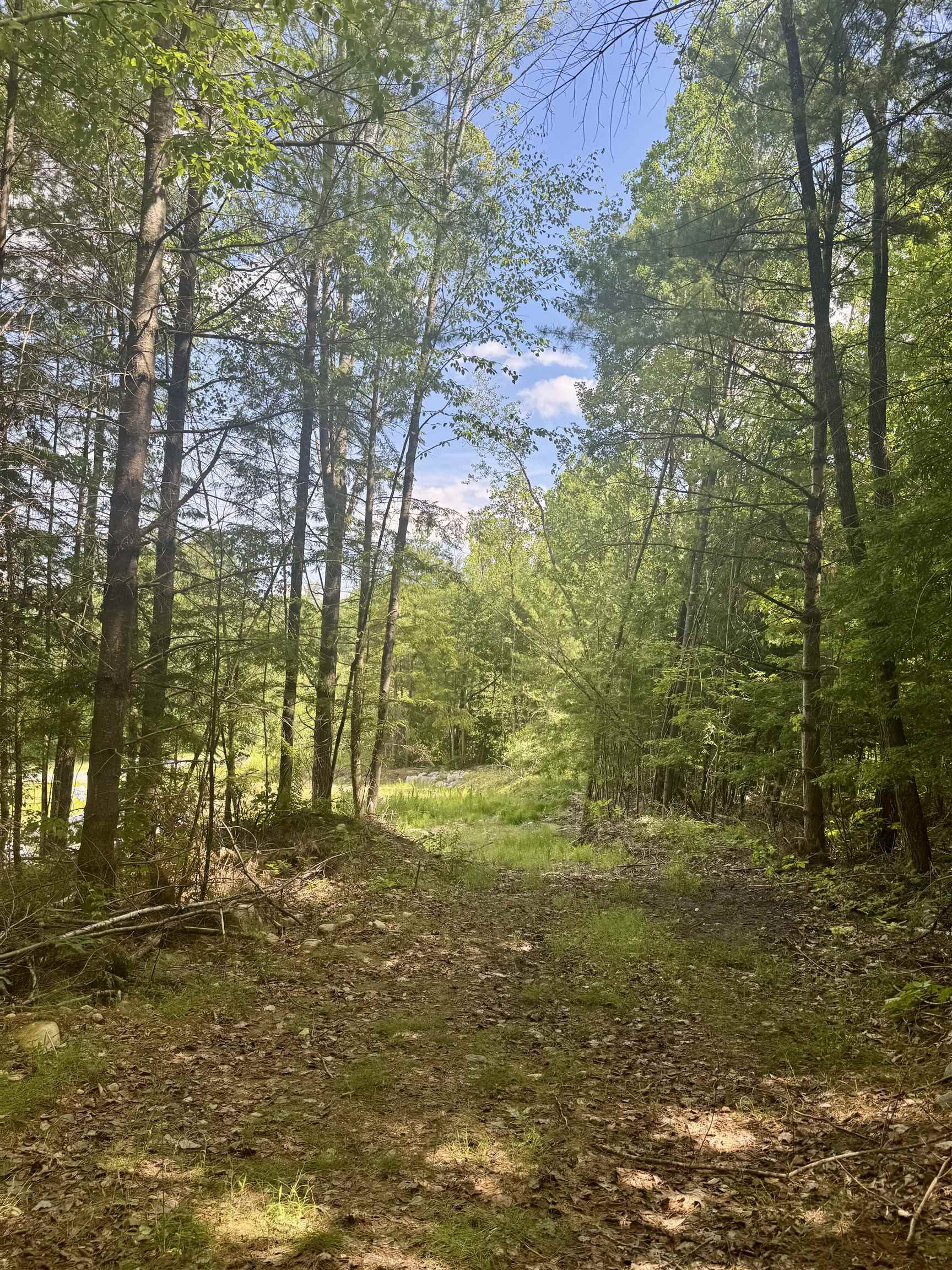 0 Remington Road, Unit 11 Chester, VT 05143 - Photo 16 of 21