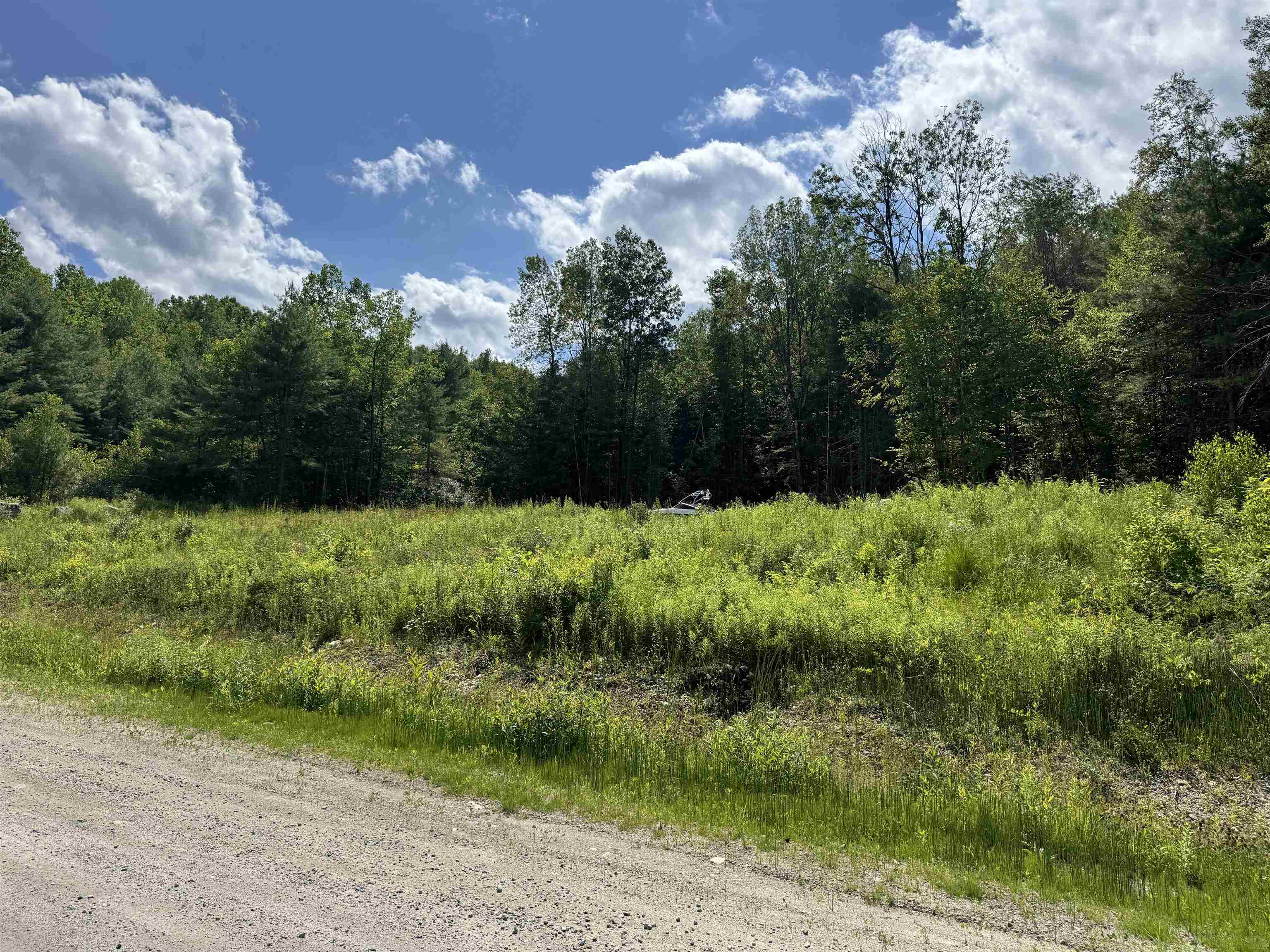 0 Remington Road, Unit 11 Chester, VT 05143 - Photo 2 of 21