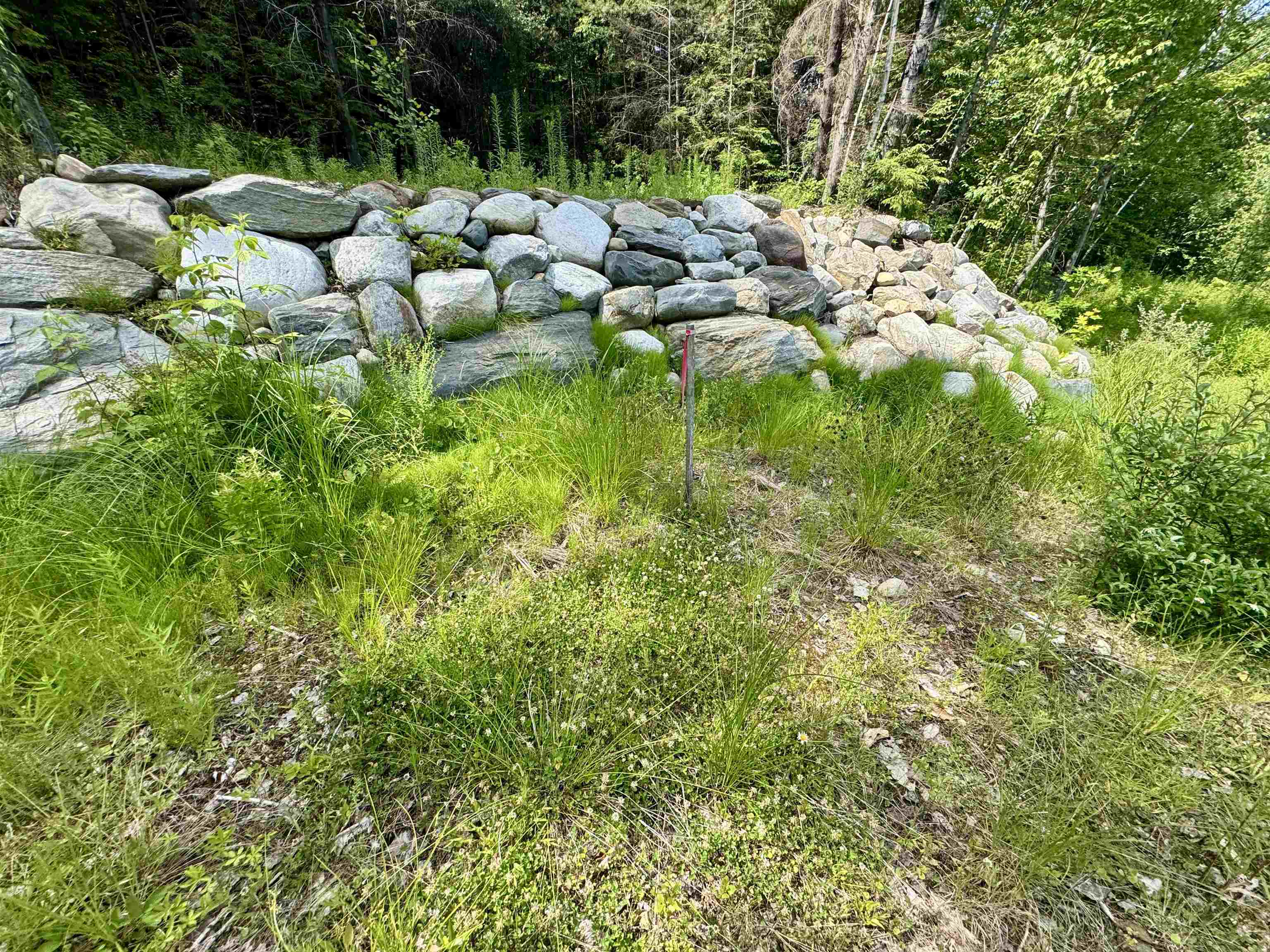 0 Remington Road, Unit 11 Chester, VT 05143 - Photo 7 of 21