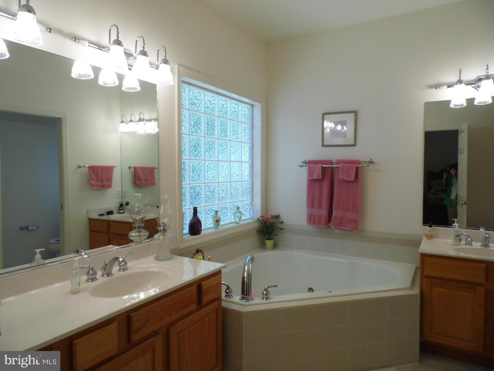 415 Birdie Road Locust Grove, VA 22508 - Photo 14 of 27 a bathroom with a tub sink and mirror