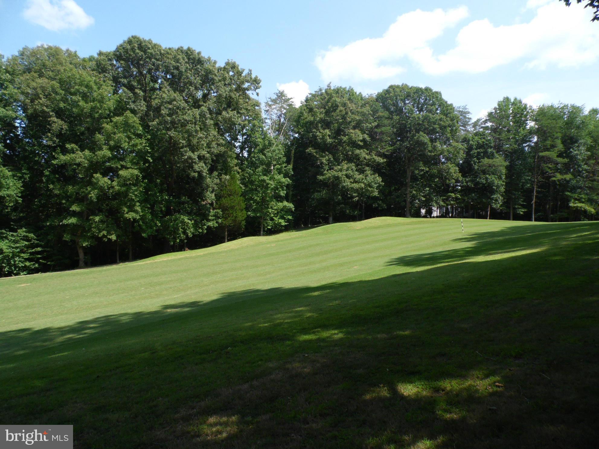 415 Birdie Road Locust Grove, VA 22508 - Photo 22 of 27 a view of a grassy field with trees