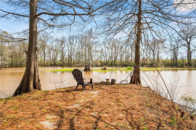 243 Goux Road Bunkie, LA 71322 - Photo 5 of 33