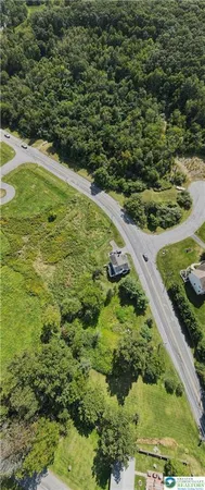a view of a garden with a lake