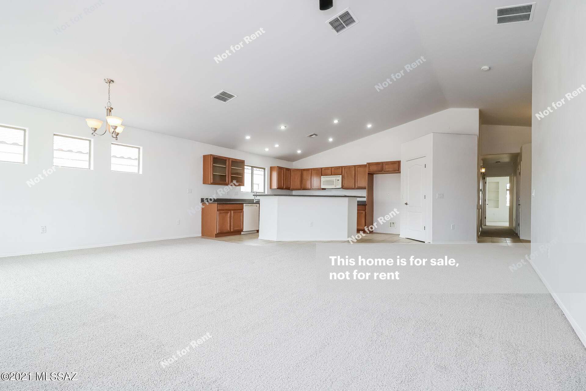 217 East Creosote Draw Road Vail, AZ 85641 - Photo 10 of 27