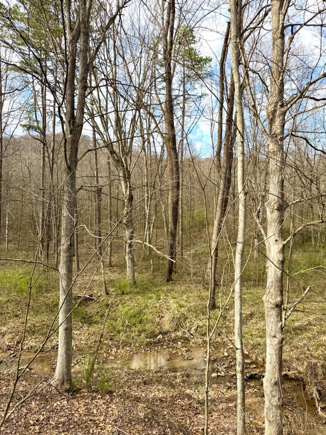 0 Fyffe Hollow Road Chillicothe, OH 45601 - Photo 71 of 96