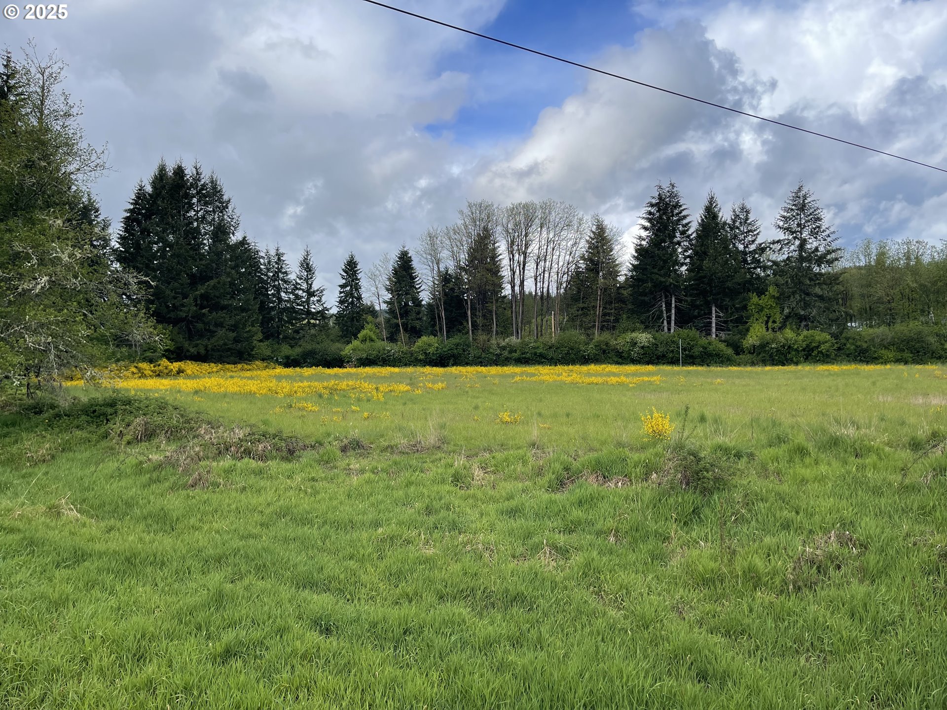 53610 Sourgrass Road Grand Ronde, OR 97347 - Photo 43 of 44 a view of a golf course with a lake