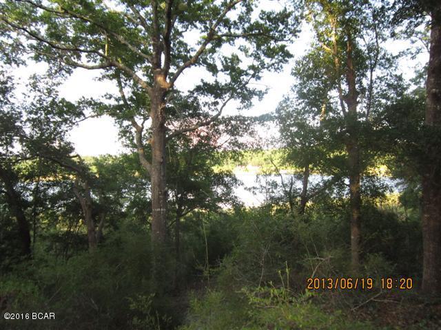 Lot 242 Quail Ridge Drive Chipley, FL 32428 - Photo 3 of 5