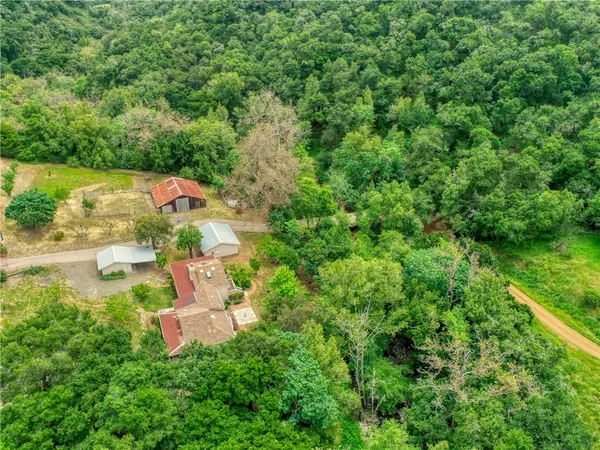 a view of a small yard