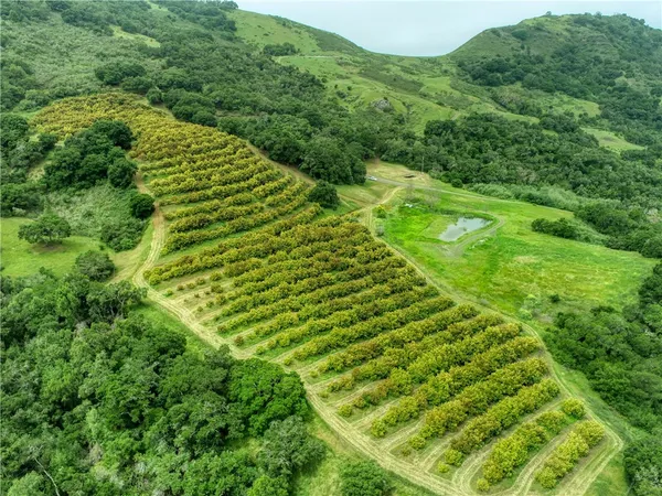 a view of a garden