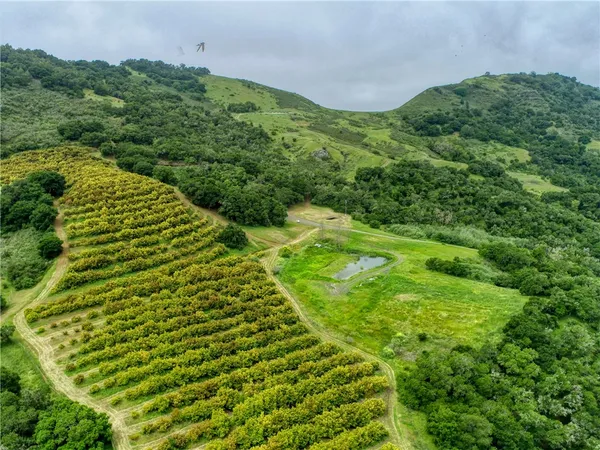 a view of a big yard with large trees