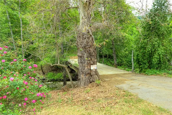 a view of a garden with plants