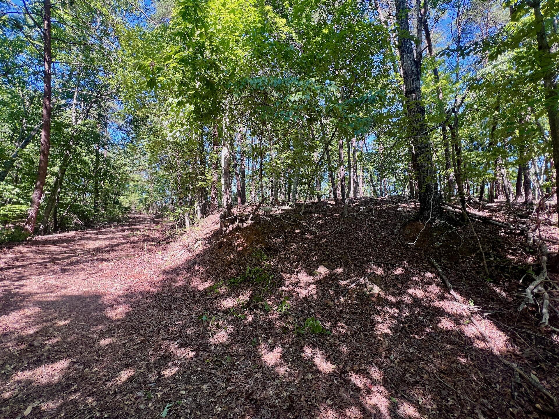 0 Brights Road Pittsville, VA 24139 - Photo 12 of 60 Leesville - 55