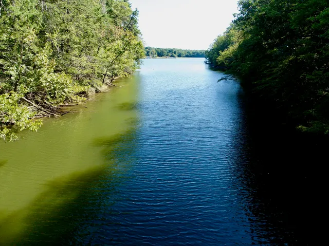 $303,500 | 0 Brights Road, Pittsville, VA 24139