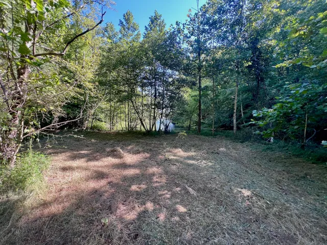 $303,500 | 0 Brights Road, Pittsville, VA 24139