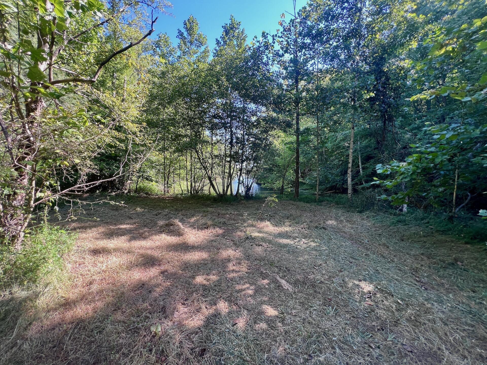 0 Brights Road Pittsville, VA 24139 - Photo 3 of 60 Leesville - 2