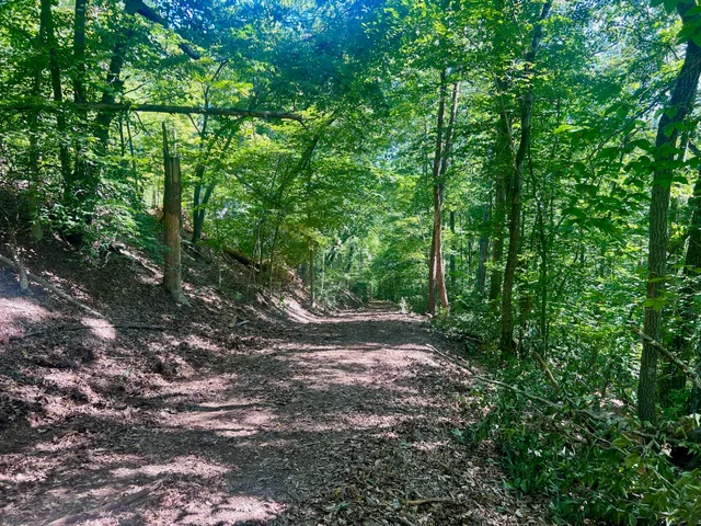 $303,500 | 0 Brights Road, Pittsville, VA 24139