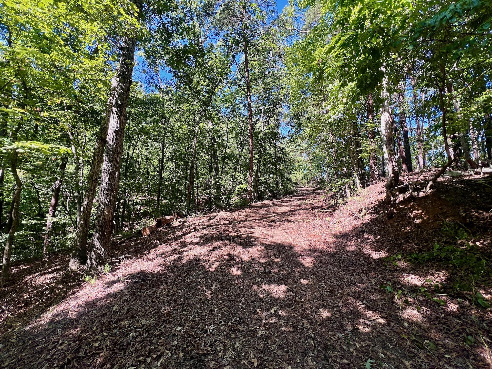 0 Brights Road Pittsville, VA 24139 - Photo 47 of 60 Leesville - 53