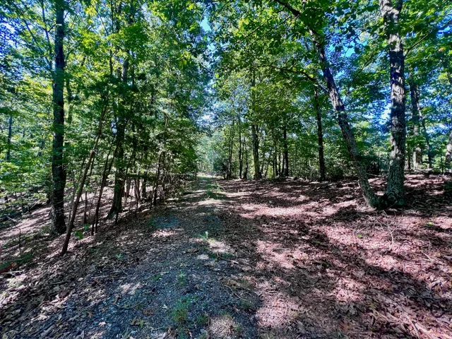 $303,500 | 0 Brights Road, Pittsville, VA 24139