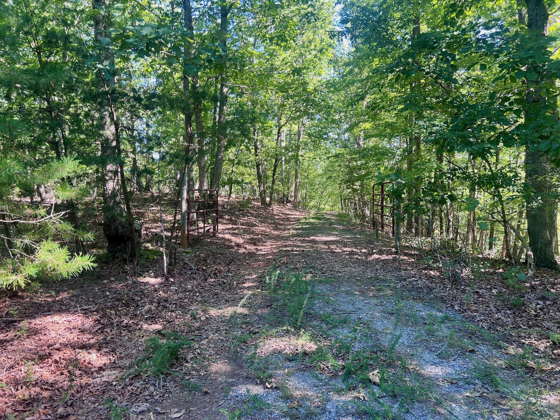 0 Brights Road Pittsville, VA 24139 - Photo 52 of 60 Leesville - 63