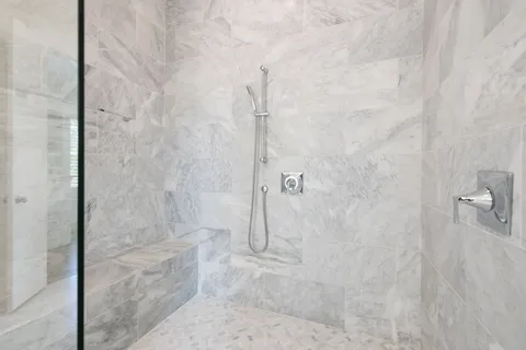 a view of a yard with plants and a large tree