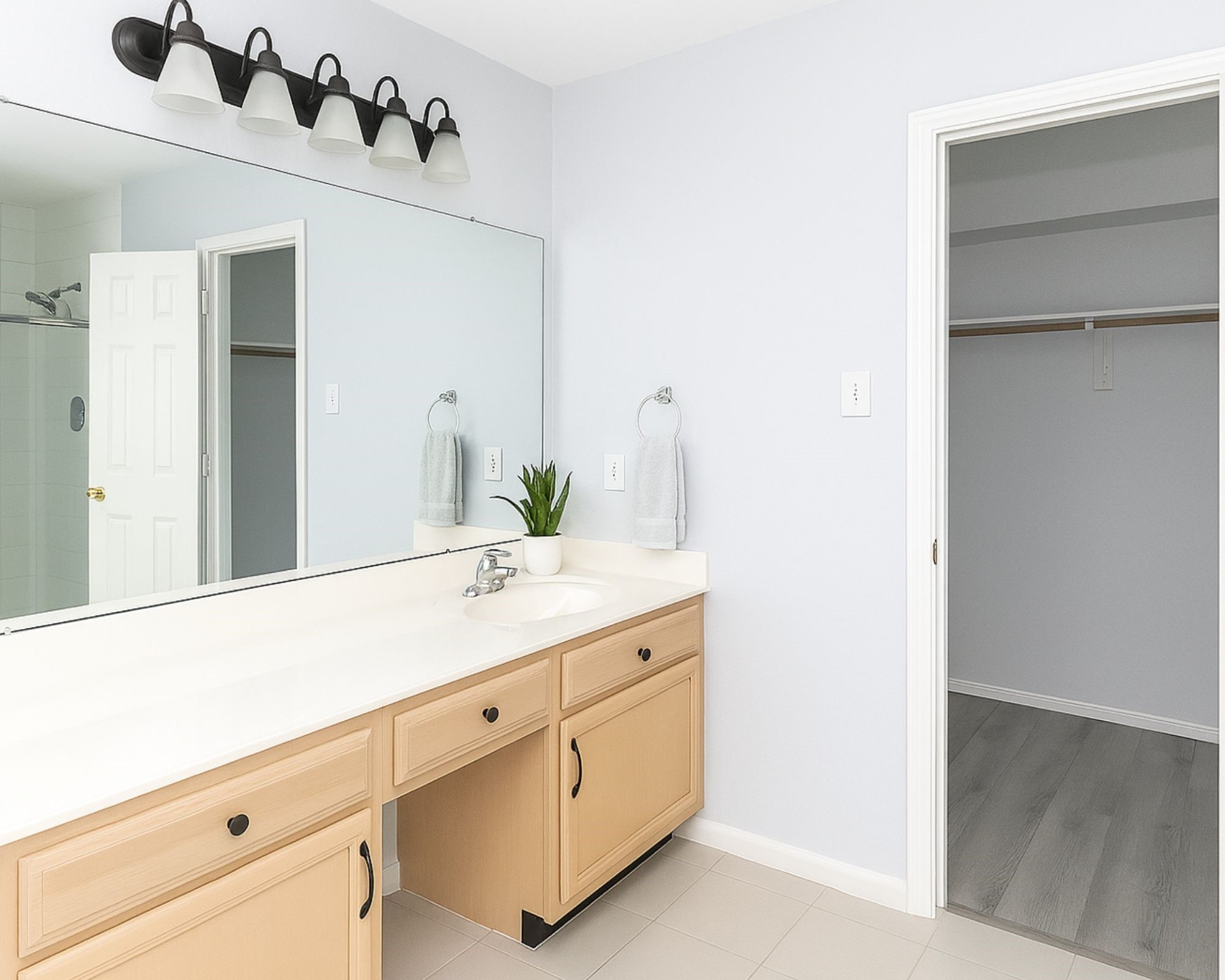 29322 Fox River Drive Spring, TX 77386 - Photo 13 of 24 Primary Bathroom