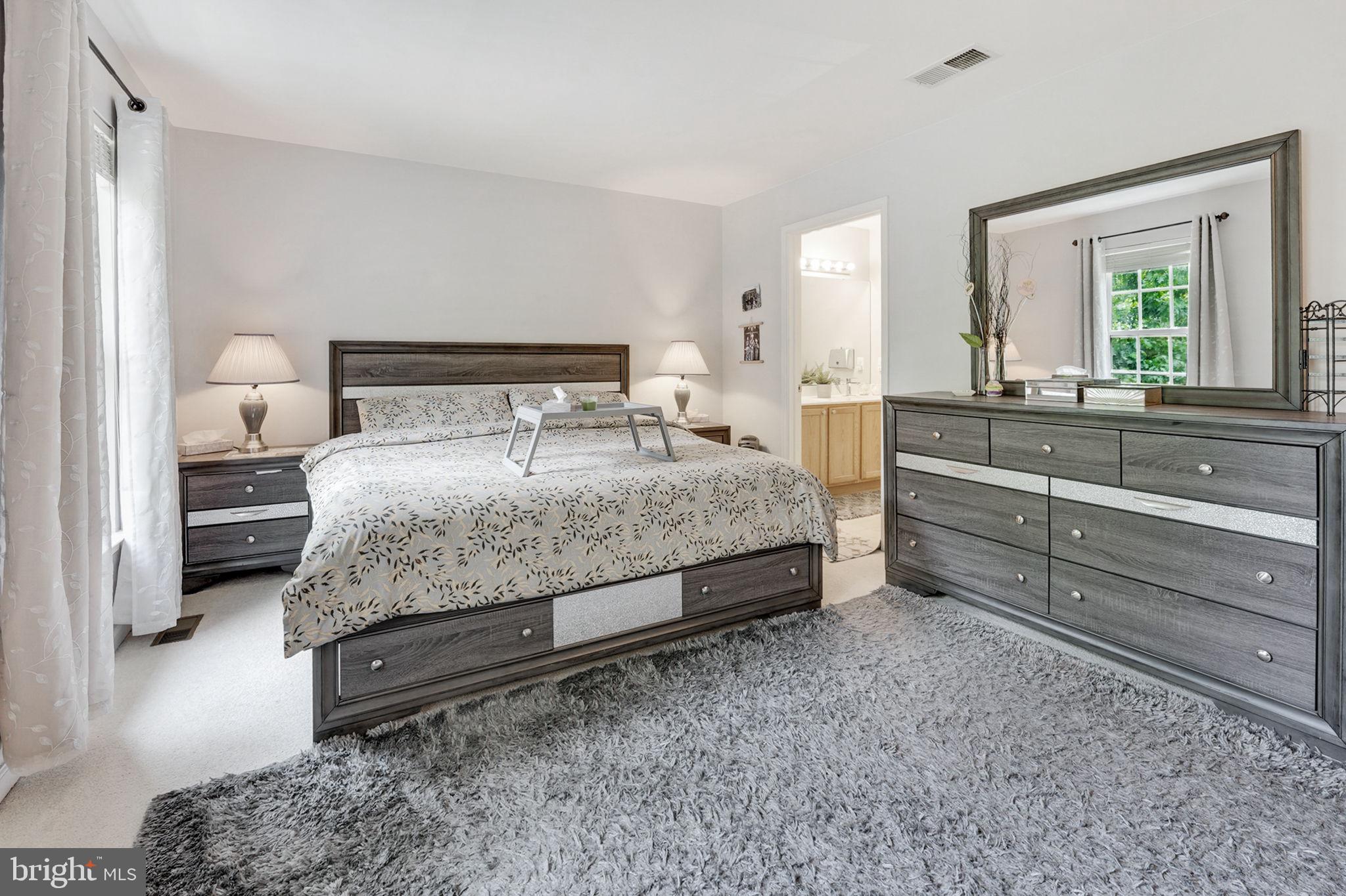 14729 Links Pond Circle Gainesville, VA 20155 - Photo 18 of 38 Primary Room