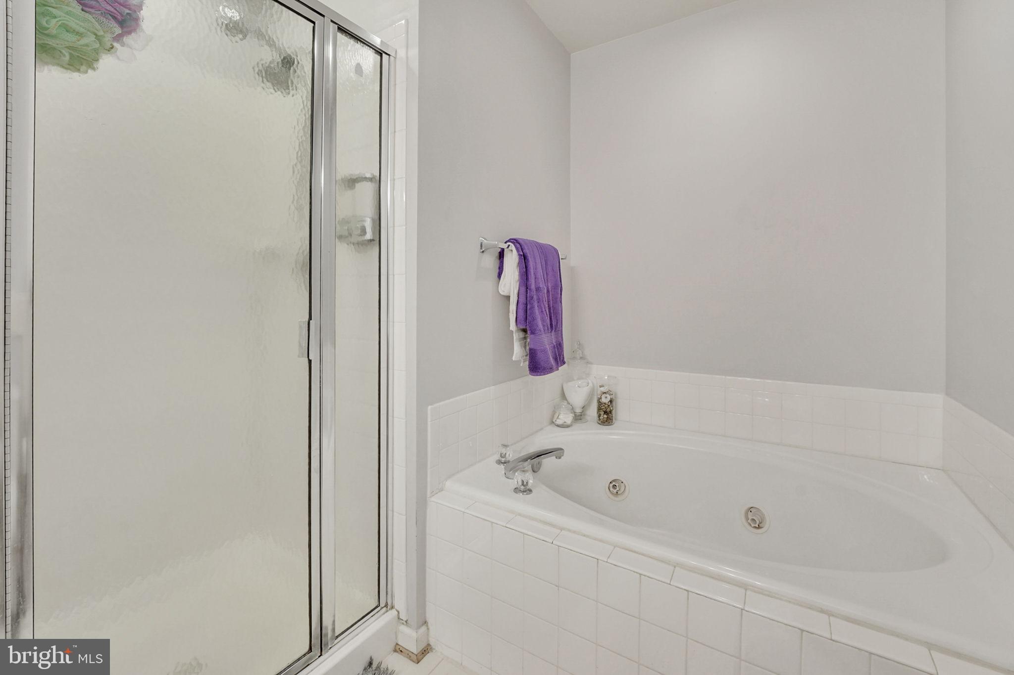 14729 Links Pond Circle Gainesville, VA 20155 - Photo 21 of 38 Primary Bathroom