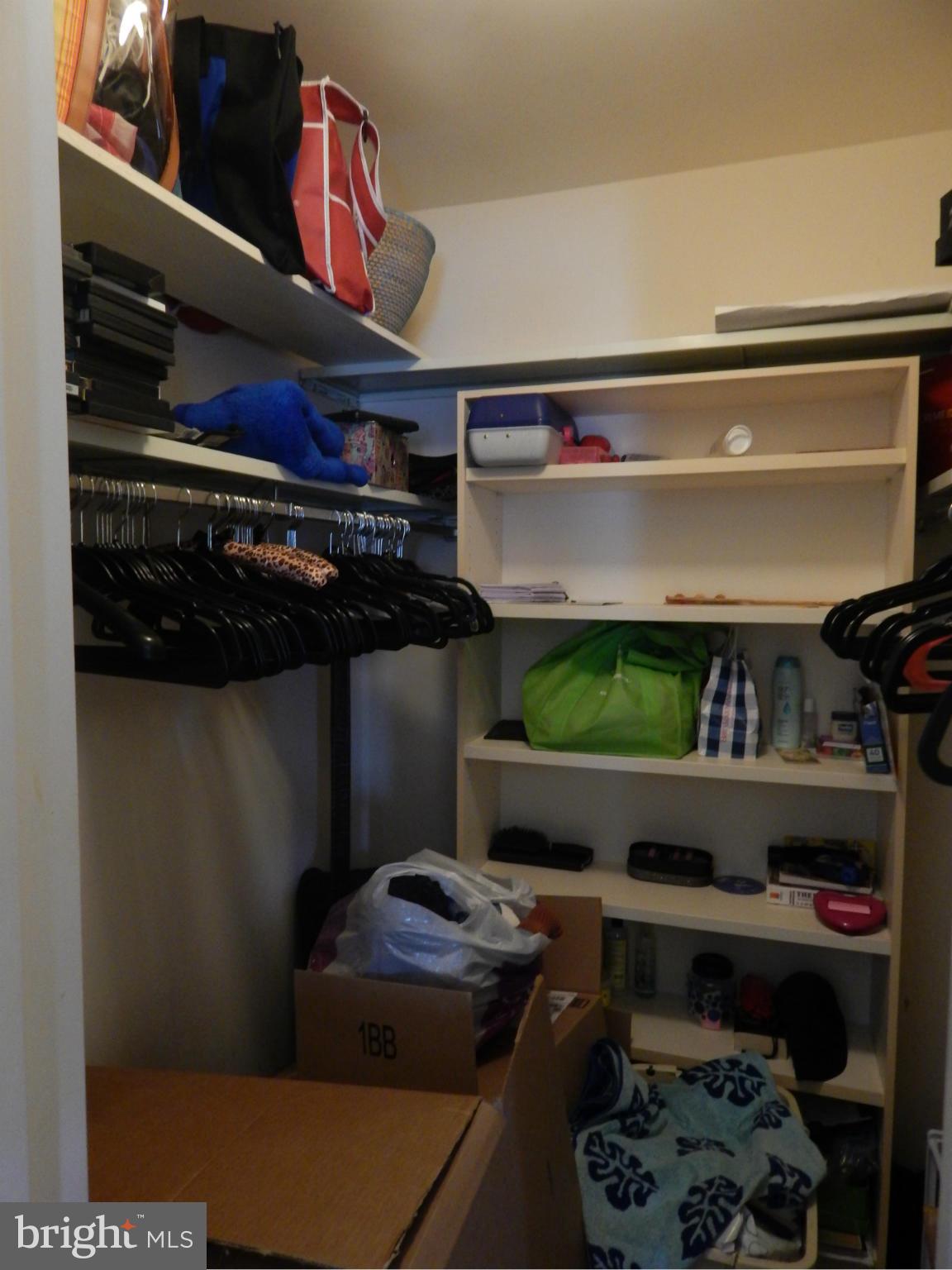6151 Edsall Road, Unit J Alexandria, VA 22304 - Photo 11 of 13 Walk-in Closet