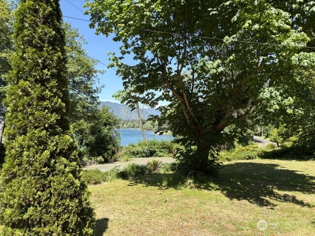 478 South Shore Road Quinault, WA 98575 - Photo 3 of 23